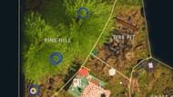 There are four Milk Molars located in the Pine Hill area (Image via Obsidian Entertainment)